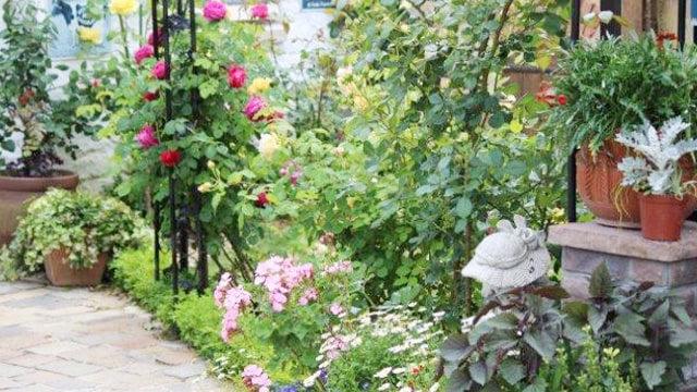 ワイケーガーデン