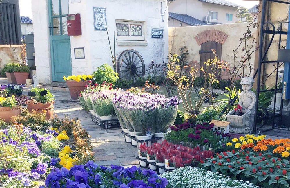 ワイケーガーデン