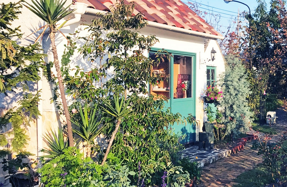 ワイケーガーデン